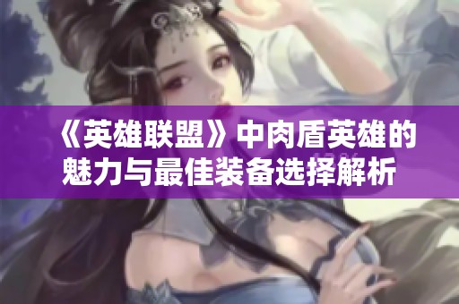 《英雄联盟》中肉盾英雄的魅力与最佳装备选择解析