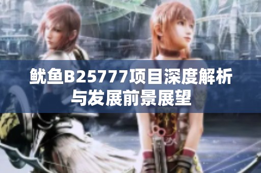 鱿鱼B25777项目深度解析与发展前景展望