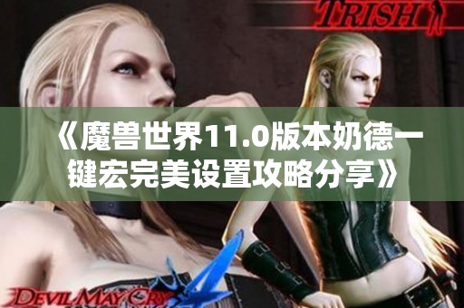 《魔兽世界11.0版本奶德一键宏完美设置攻略分享》
