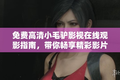 免费高清小毛驴影视在线观影指南，带你畅享精彩影片