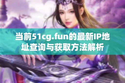 当前51cg.fun的最新IP地址查询与获取方法解析