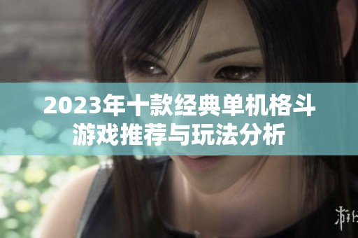 2023年十款经典单机格斗游戏推荐与玩法分析