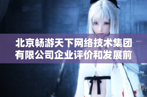 北京畅游天下网络技术集团有限公司企业评价和发展前景分析