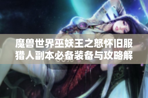 魔兽世界巫妖王之怒怀旧服猎人副本必备装备与攻略解析