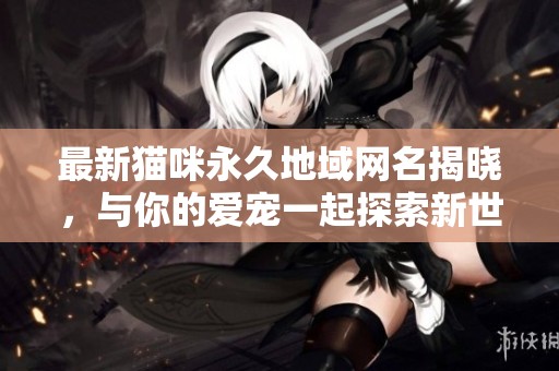 最新猫咪永久地域网名揭晓，与你的爱宠一起探索新世界