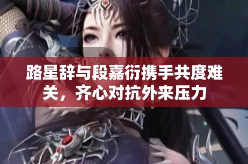 路星辞与段嘉衍携手共度难关，齐心对抗外来压力