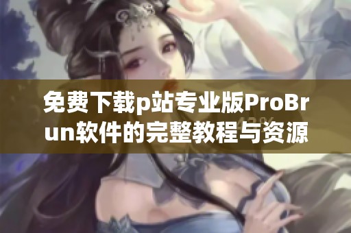 免费下载p站专业版ProBrun软件的完整教程与资源分享