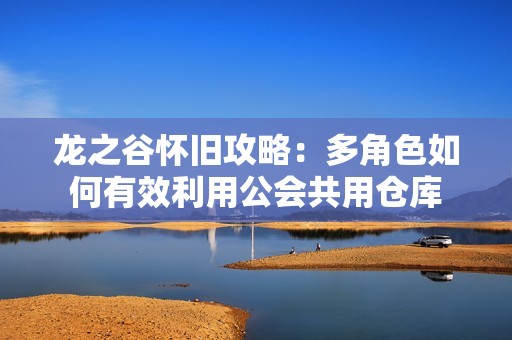 龙之谷怀旧攻略：多角色如何有效利用公会共用仓库