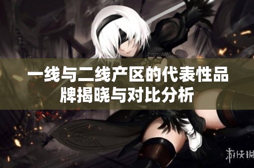 一线与二线产区的代表性品牌揭晓与对比分析