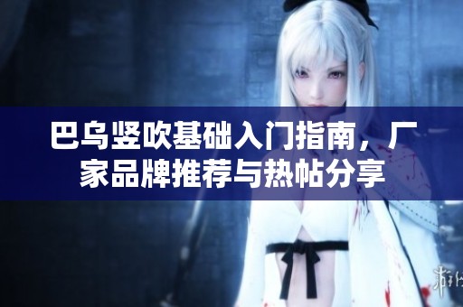 巴乌竖吹基础入门指南，厂家品牌推荐与热帖分享