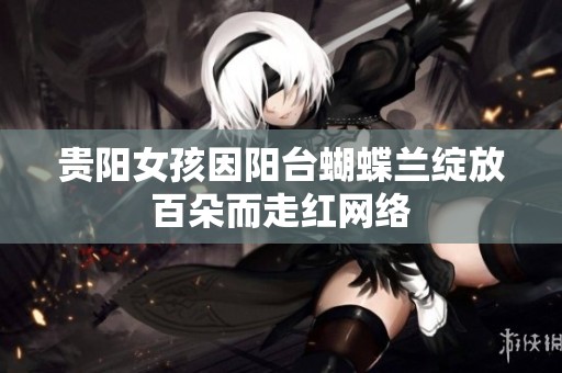 贵阳女孩因阳台蝴蝶兰绽放百朵而走红网络