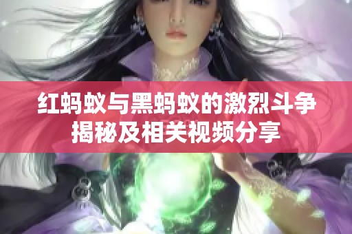 红蚂蚁与黑蚂蚁的激烈斗争揭秘及相关视频分享