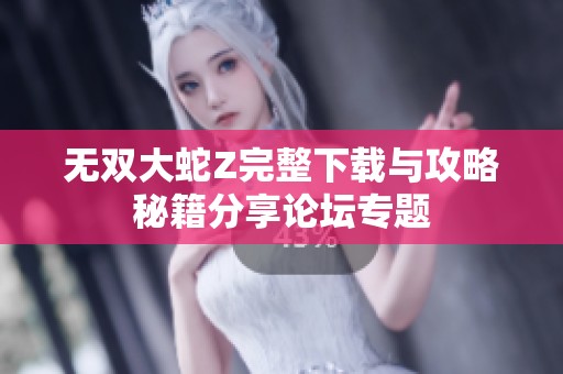 无双大蛇Z完整下载与攻略秘籍分享论坛专题