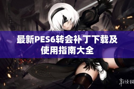 最新PES6转会补丁下载及使用指南大全