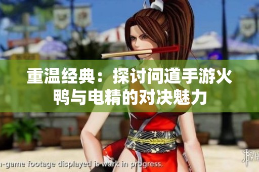 重温经典：探讨问道手游火鸭与电精的对决魅力