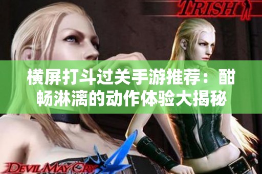 横屏打斗过关手游推荐：酣畅淋漓的动作体验大揭秘