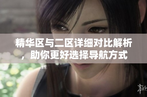 精华区与二区详细对比解析，助你更好选择导航方式
