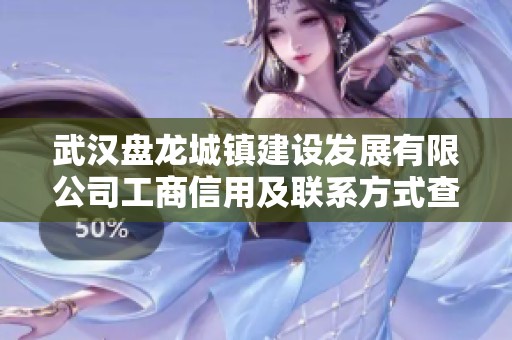 武汉盘龙城镇建设发展有限公司工商信用及联系方式查询指南