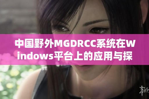 中国野外MGDRCC系统在Windows平台上的应用与探索