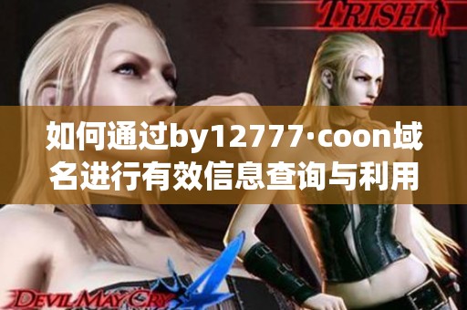 如何通过by12777·coon域名进行有效信息查询与利用