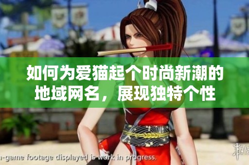如何为爱猫起个时尚新潮的地域网名，展现独特个性