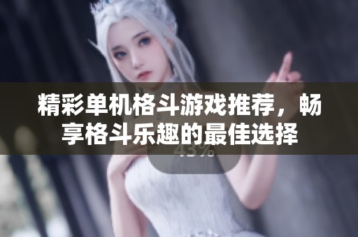 精彩单机格斗游戏推荐，畅享格斗乐趣的最佳选择