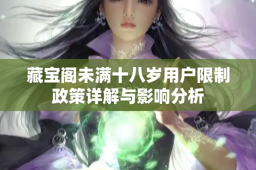 藏宝阁未满十八岁用户限制政策详解与影响分析