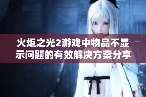 火炬之光2游戏中物品不显示问题的有效解决方案分享