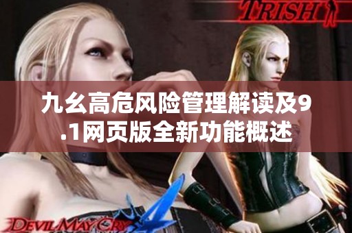 九幺高危风险管理解读及9.1网页版全新功能概述