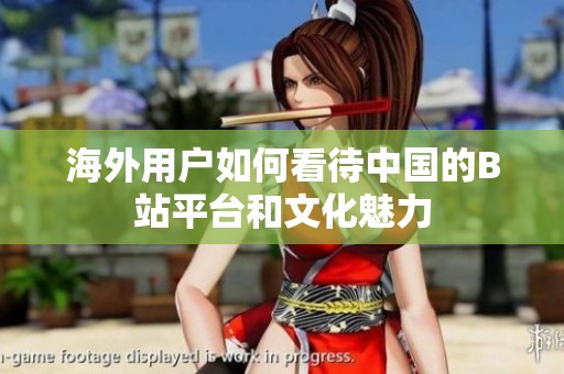 海外用户如何看待中国的B站平台和文化魅力