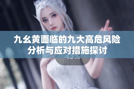 九幺黄面临的九大高危风险分析与应对措施探讨