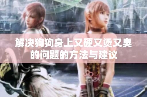 解决狗狗身上又硬又烫又臭的问题的方法与建议