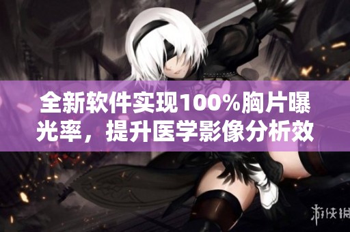 全新软件实现100%胸片曝光率，提升医学影像分析效果！
