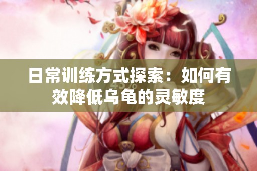 日常训练方式探索：如何有效降低乌龟的灵敏度