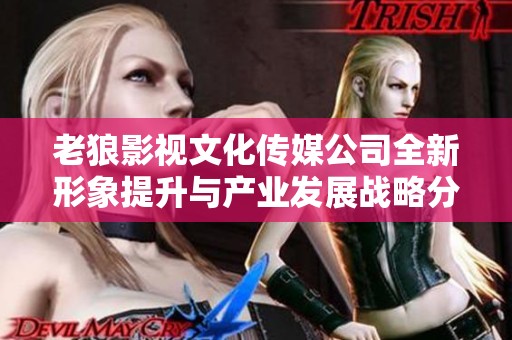 老狼影视文化传媒公司全新形象提升与产业发展战略分析