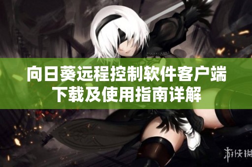 向日葵远程控制软件客户端下载及使用指南详解