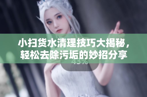 小扫货水清理技巧大揭秘，轻松去除污垢的妙招分享