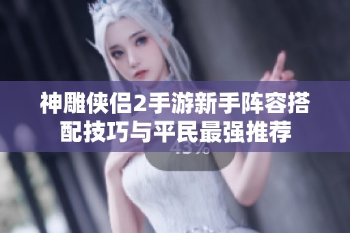 神雕侠侣2手游新手阵容搭配技巧与平民最强推荐