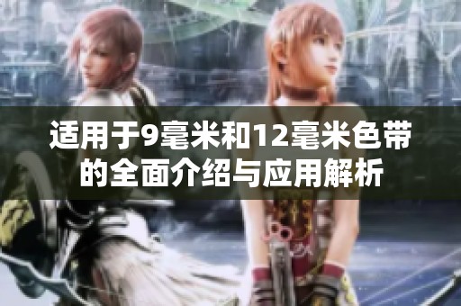 适用于9毫米和12毫米色带的全面介绍与应用解析