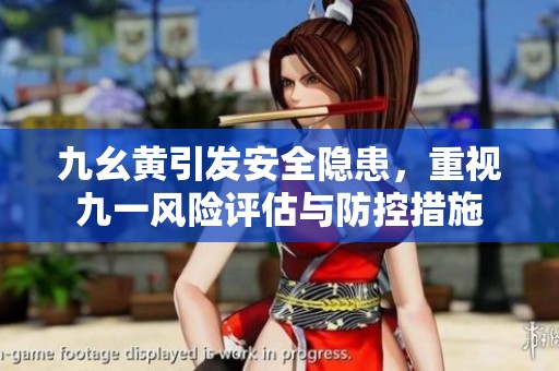 九幺黄引发安全隐患，重视九一风险评估与防控措施