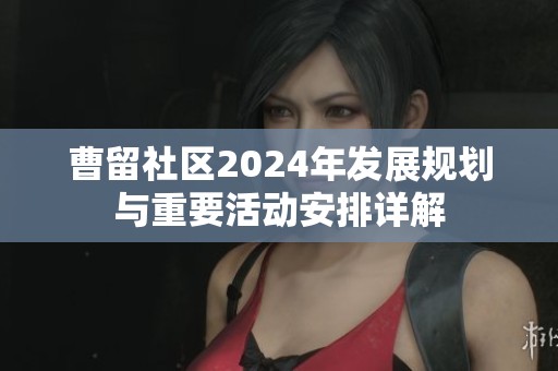 曹留社区2024年发展规划与重要活动安排详解