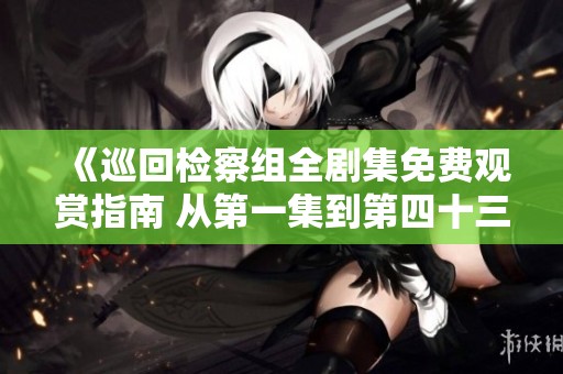 《巡回检察组全剧集免费观赏指南 从第一集到第四十三集》
