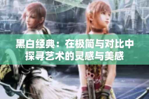 黑白经典：在极简与对比中探寻艺术的灵感与美感