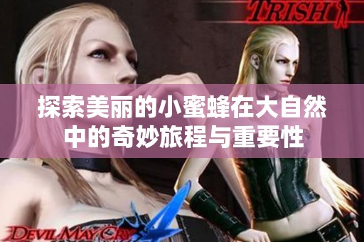 探索美丽的小蜜蜂在大自然中的奇妙旅程与重要性