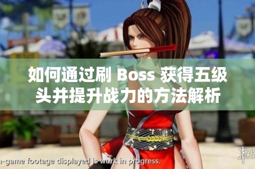 如何通过刷 Boss 获得五级头并提升战力的方法解析