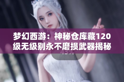梦幻西游：神秘仓库藏120级无级别永不磨损武器揭秘