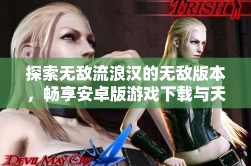探索无敌流浪汉的无敌版本，畅享安卓版游戏下载与天堂手之旅
