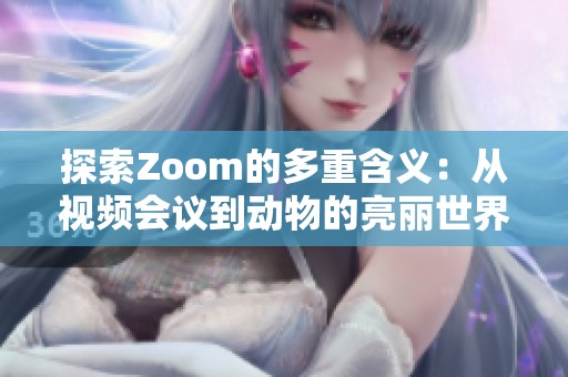 探索Zoom的多重含义：从视频会议到动物的亮丽世界