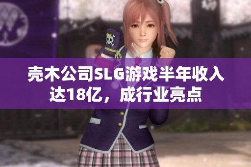 壳木公司SLG游戏半年收入达18亿，成行业亮点