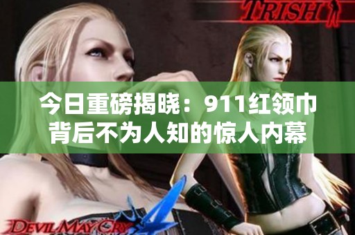 今日重磅揭晓：911红领巾背后不为人知的惊人内幕